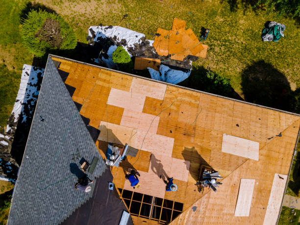 Best Flat Roof Repair Services  in Darlington, WI