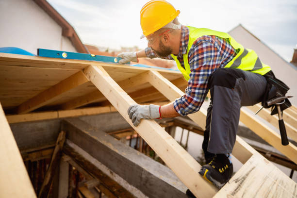 Best Local Roofing Companies  in Darlington, WI