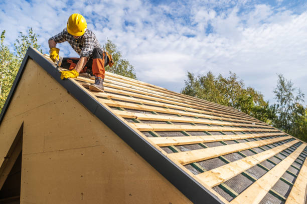Best Roof Gutter Cleaning  in Darlington, WI