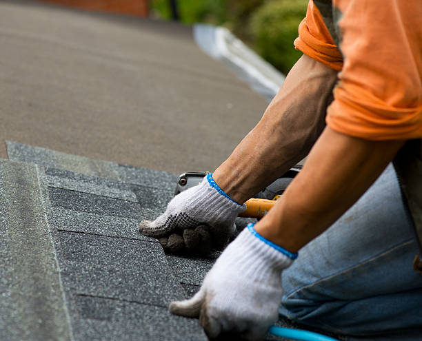 Best Slate Roofing Contractor  in Darlington, WI